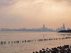 -深圳湾公园(南山区)