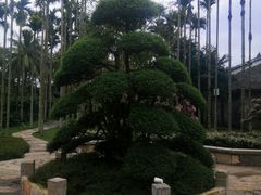 -蔡家宅
