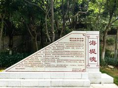 -海堤纪念公园