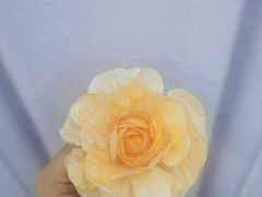 -威利旺卡烘焙西点蛋糕培训(朝阳校区)