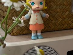 -有猫主题·治愈系猫咖(曾厝垵店)