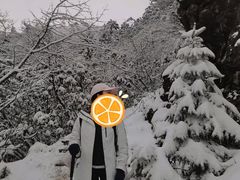 -九峰山