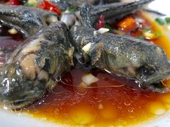 -杨记海鲜楼(三门黑金冠店)