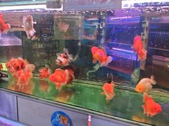 -双季花艺园艺市场(浦东店)