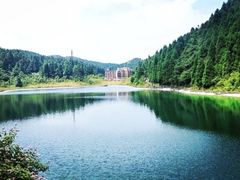 -武陵山森林公园