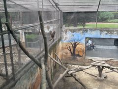 -成都动物园