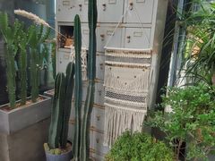 -北马山庄植趣咖啡