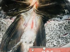 -许爷家·生态湖鲜(徐汇日月光店)