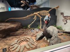 -自贡恐龙博物馆
