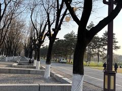 -大明宫国家遗址公园·御道广场