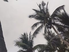 -亚龙湾海底世界