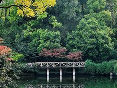 -南山植物园