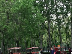 -朝阳公园游乐园