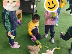 -海联小龙鱼幼儿园