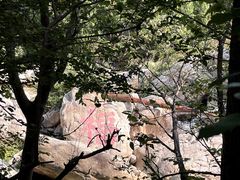 -禅宗少林·音乐大典