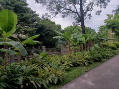 -晓港公园