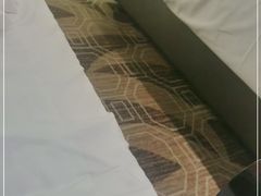 -桃源假日酒店餐厅·大益膳房