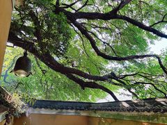 -普陀山慧济禅寺