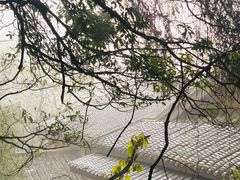 -缙云山景区