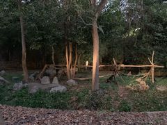 -清迈夜间动物园