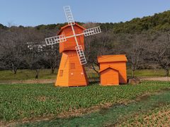 -苏州上方山国家森林公园