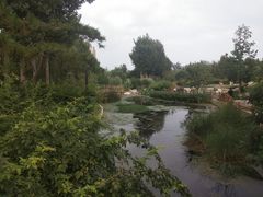 -燕郊植物园