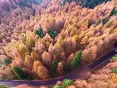 -山王坪喀斯特国家生态公园