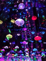 -疯狂冒险家-亲子密室-东坝店(金隅嘉品店)