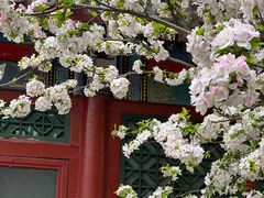 -元大都城垣遗址公园