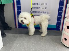 -心仪动物医院·牙专科·肿瘤·心脏科(西客站院)