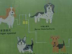 -景田北六街公园宠物主题园