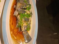 -小螺号海鲜·地道鲁菜(省体总店)