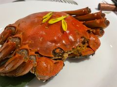 -52+餐厅(王府井喜悦店)