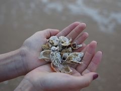 -日照灯塔风景区