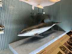 -浙江自然博物院(杭州馆)