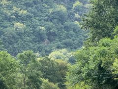 -武汉姚家山旅游景区