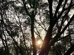 -人民公园(罗湖区)