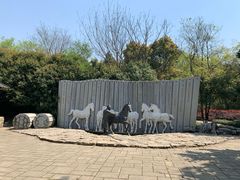 -白马涧龙池景区