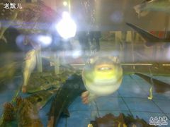 -友鹏海鲜(新宜白大道店)
