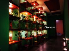 -MintsThai沁泰都市SPA·泰式按摩(公园1903店)