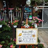 金桂园庭院式咖啡||bamboo coffee