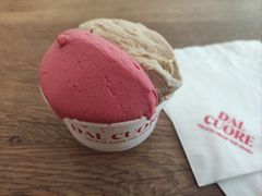 覆盆子-Dal Cuore 达可芮冰淇淋(陕西北路店)