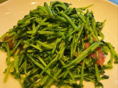 鸡油腊味炒豆苗-潮界(凯德晶萃店)