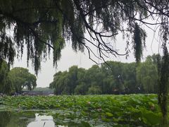 -北陵公园