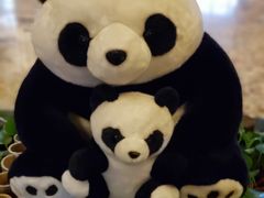 -成都保利公园皇冠假日酒店(熊猫基地店)