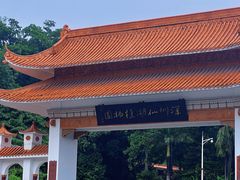 -深圳仙湖植物园