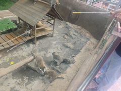 -呀诺达热带雨林