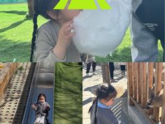 -北京鹿世界主题园