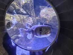 -成都浩海立方海洋公园