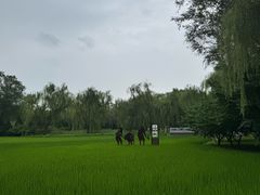 -北坞公园